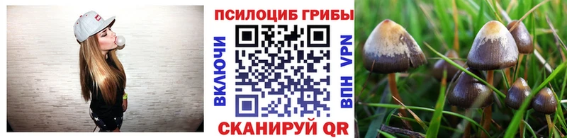 Псилоцибиновые грибы мицелий  сколько стоит  Барабинск 